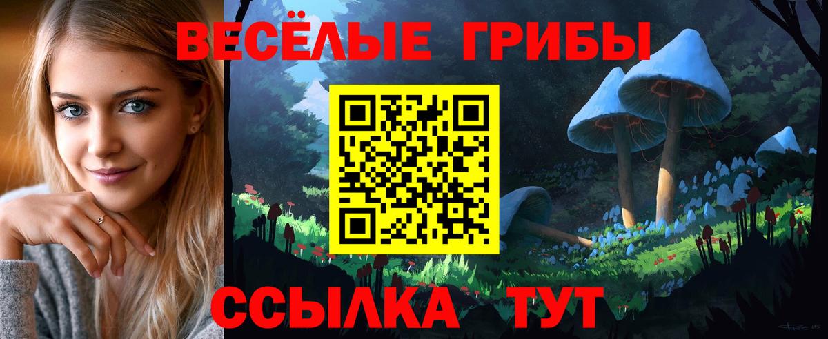 Рязань  Псилоцибиновые грибы мухоморы  Вход с VPN 